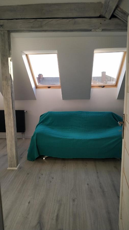 Apartament Witkacego Zielony スウプスク エクステリア 写真