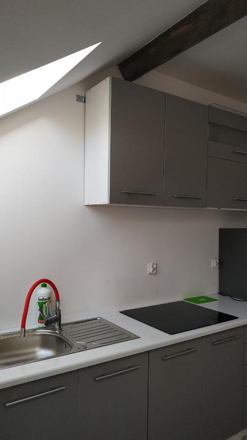 Apartament Witkacego Zielony スウプスク エクステリア 写真