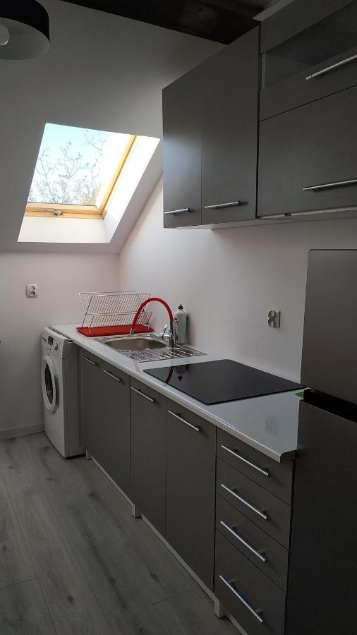 Apartament Witkacego Zielony スウプスク エクステリア 写真