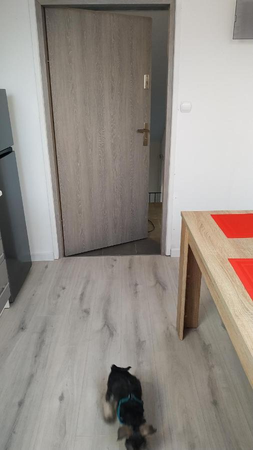 Apartament Witkacego Zielony スウプスク エクステリア 写真