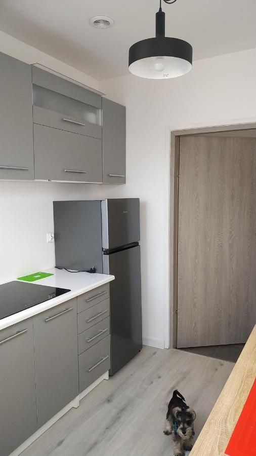 Apartament Witkacego Zielony スウプスク エクステリア 写真